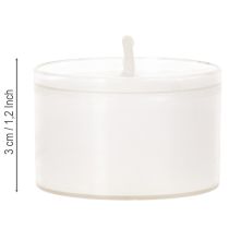 Artikel Nachtlichter Teelichter Weiss mit Plastikhülle Ø3,8cm H3cm 8 Stunden 50 Stück