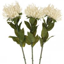 Artikel Nadelkissen Kunstblumen Exoten Protea Leucospermum Creme 73cm 3St