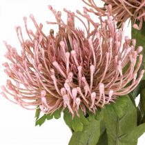 Artikel Herbstblume künstlich Nadelkissen Rosa Leucospermum 73cm 3 Stk