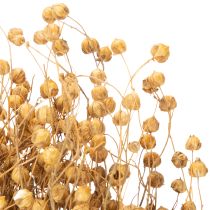Artikel Getrockneter Leinenbund Natur 60cm 180g für Trockenfloristik