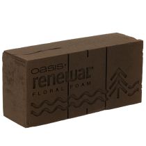 Artikel Oasis Renewal Steckschaum Braun 23 x 11 x 7,5 cm 1 Stück