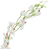 Artikel Orchidee Mokara Weiß 92cm 3St