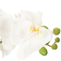 Artikel Künstliche Orchidee im schwarzen Topf 60 cm weiss