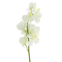 Artikel Orchidee künstlich Creme 50cm 6St