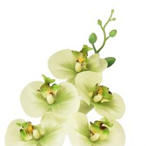 Artikel Orchidee Künstlich Gelb Grün Phalaenopsis 85cm