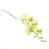 Artikel Orchidee Künstlich Gelb Grün Phalaenopsis L83cm