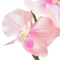 Artikel Orchidee Phalaenopsis künstlich 6 Blüten Rosa 70cm