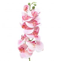 Orchidee Phalaenopsis künstlich 9 Blüten Rosa Weiß 96cm