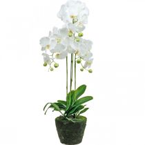 Künstliche Orchideen für den Topf Weiß 80cm