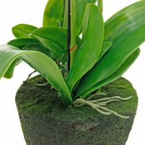 Artikel Künstliche Orchideen Weiss im Topf 80cm