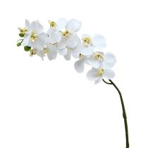Artikel Orchideenzweig Weiß L58cm