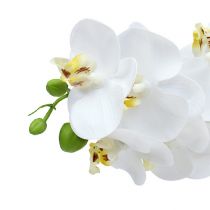 Artikel Orchideenzweig Weiß L58cm