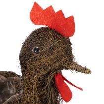 Artikel Reben-Pflanzkorb Huhn 36cm mit Folieneinsatz für Osterdekoration