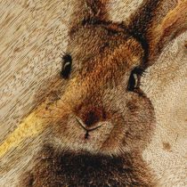 Artikel Osterteller Holz Dekoteller Hase im Ei Natur 25x26cm