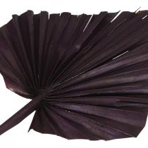 Artikel Palmspear Mix aus Palmenblättern, Rosa und Berry, 40–55 cm, 65 Stück