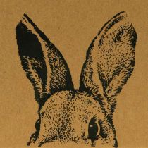 Artikel Geschenktüte Ostern Papiertüte Hase Braun 16×6,5×20cm 6St