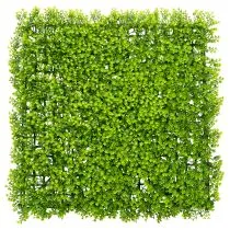 Artikel Kunstpflanze Buchsbaum Matte 55x55 cm Grün für Wandgestaltung