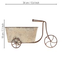 Artikel Pflanzfahrrad Blumentopf aus Metall 34×16×18cm Rost Grau für Innen- und Aussendekoration