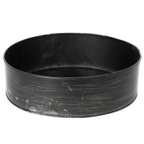 Artikel Pflanzschale aus Metall, Deko-Springform Ø24cm H7,5cm, schwarz, für Bepflanzung und Dekoration