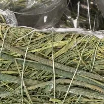 Artikel Pflanzherz aus Naturmaterial mit Folieneinsatz 22cm Grün 2er-Set