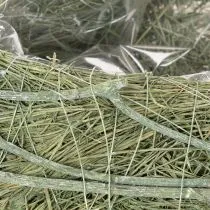 Artikel Herzschale aus Naturgras mit Folie 38 cm Grün für kreative Bepflanzung