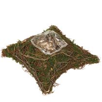 Artikel Pflanzkissen Reben Moos Pflanzschale Natur 20×20×6,5cm