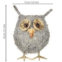 Artikel Pflanzkorb Eulenform Rebe Weiss Gewaschen Ø14cm mit Folie für Innen- und Aussendekoration