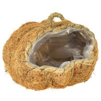 Artikel Pflanzkorb Kürbis Herbstdeko Orange Ø22cm H17cm