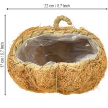 Artikel Pflanzkorb aus Tamarindenfaser Kürbisform Orange Ø22cm H17cm Herbstdeko