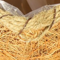 Artikel Pflanzkorb Kürbis mit Folie Herbstdeko Orange Ø18cm H15cm