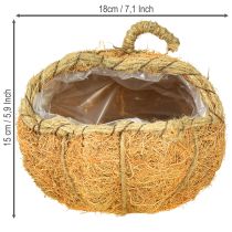 Artikel Pflanzkorb Kürbis aus Tamarindenfaser mit Folie Ø18cm H15cm Orange Herbstdeko