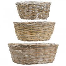 Artikel Weidenkorb Set 3-teilig Ø21,5/26/31cm Weiss Gewaschen mit Kunststofffolie für Innen und Aussen