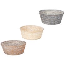 Artikel Geflochtener Blumenkorb aus Spanholz 23 cm Set 6 Stück Weiss-Braun-Grau