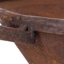 Artikel Pflanzschale Metall Rost Ø31cm mit Griff – Dekoschale für Innen- und Aussenbereich