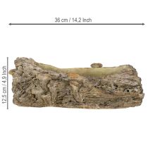 Artikel Pflanzschale aus Steinguss in Baumstamm-Optik mit Pilzen 36×18×12,5cm für Innen- und Aussenbereich