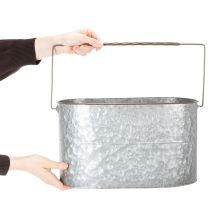 Artikel Pflanzschalen-Set aus Metall mit Henkeln, 2 Grössen, Silber und Braun, H22/20cm L42/40cm, für Innen- und Aussenbereich