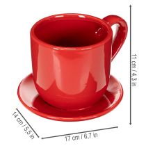 Artikel Tasse mit Unterteller aus Keramik, 17 cm, Rot, für Trocken- und Kunstblumen