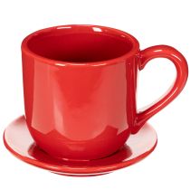 Artikel Tasse mit Unterteller aus Keramik, 17 cm, Rot, für Trocken- und Kunstblumen