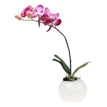 Artikel Künstliche Orchideen im Topf Phalaenopsis Kunstblumen Orchideen Pink 34cm