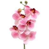 Künstlicher Orchideenzweig Phaelaenopsis Rosa H49cm