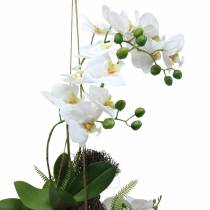 Artikel Orchidee mit Farn und Moosballen künstlich Weiß Hängend 64cm