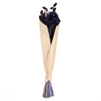 Artikel Getrocknetes Phalaris Deko-Gras Violett 50-55cm 100g