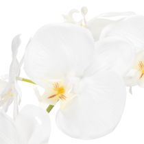 Artikel Künstliche Orchidee Weiss im Topf 62 cm für Wohn- und Bürodekoration