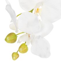 Artikel Künstliche Orchidee Weiss im Topf 62 cm für Wohn- und Bürodekoration