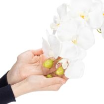 Artikel Künstliche Orchidee Weiss im Topf 62 cm für Wohn- und Bürodekoration