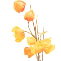 Artikel Lampionblume künstlich Physalis-Zweig 95 cm Orange für Innen