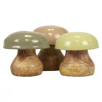 Artikel Holzpilze Deko Pilze Holz Deko Beige, Grün Ø5cm H5,5cm 12St