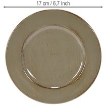 Artikel Kleine Dekoteller aus Kunststoff 17cm Dunkelgrün 6er-Set