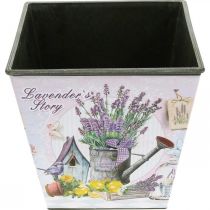Artikel Pflanztopf Kunststoff eckig 13x13,5cm Lavendelmotiv für Innenbereich