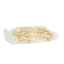 Artikel Plumosum 1 gebleicht 25St